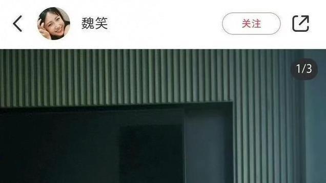 这一次，殴打赵露思扇嘴巴的“公司老板”，如今底裤快被扒光了