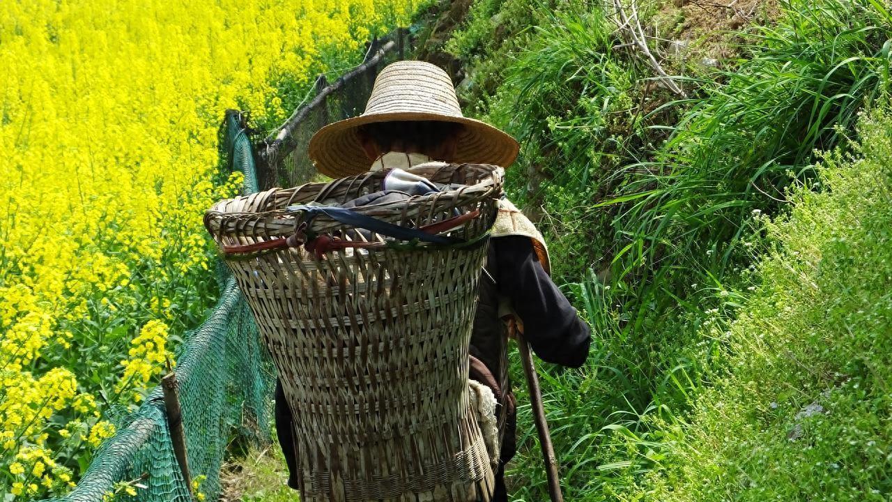 农村最后一批留守老人老去之后，农村是不是就空了？