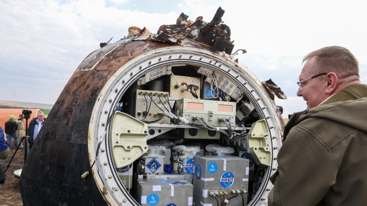 太空之旅，俄罗斯生物卫星携实验小鼠返回