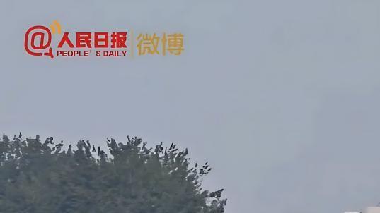 第零方阵！比亚迪纯电动环卫车护航九三阅兵