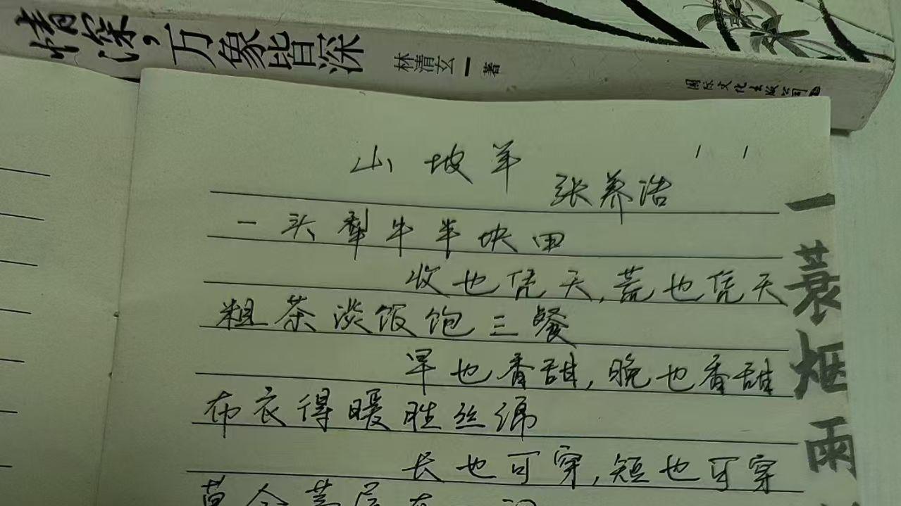 我的摘抄本丢啦