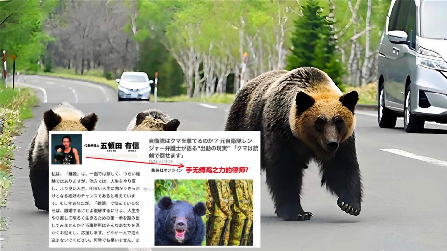 美国叼着电锯的熊在社群引发热议，网友：它看过《电锯人》吧