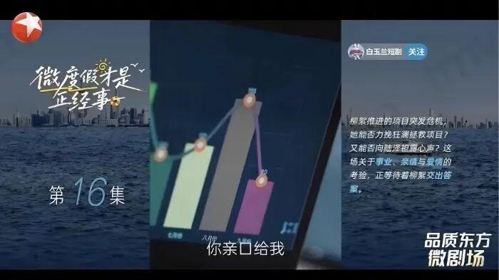 东风入律，荧屏新象——2025年微短剧上星综述