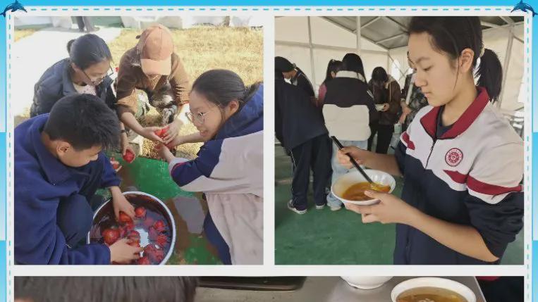 信阳市第七中学共青团积极分子劳动教育实践行