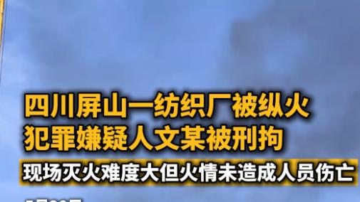 纺织厂纵火案真相：警方辟谣欠薪800元传言 嫌犯因泄愤纵火被刑拘