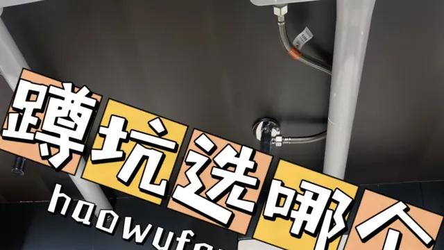 越来越多人，厕所不装马桶，不装洗手台！看看人家的设计，真高级
