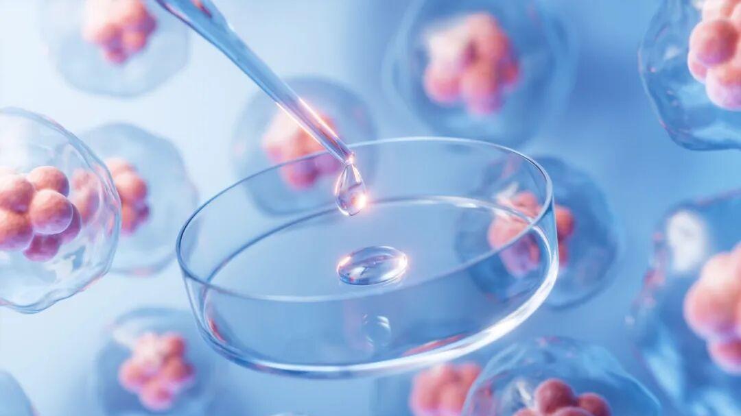 从清华实验室到千亿产能：华龛生物的“细胞智造革命”