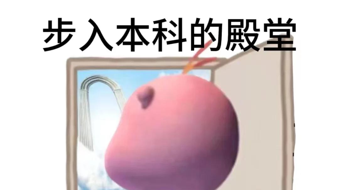 注意！专插本录取≠万事大吉，先完成这10件事才能顺利入学！