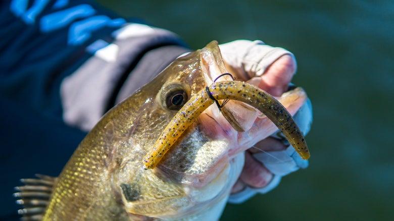 当所有假饵都失效时，它才是你的最后王牌