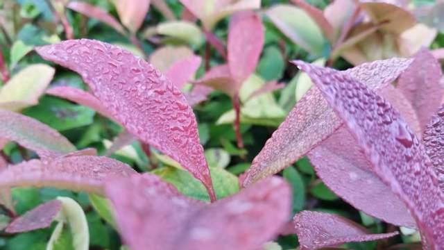 当看见孩子内心戏，才懂表面阳光开朗的高中生，内心已崩溃到无声