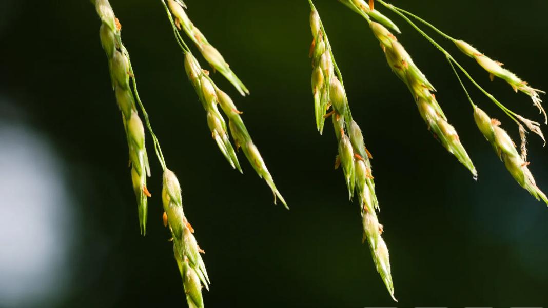 所擁有的一切不過是暫時的保管罷了