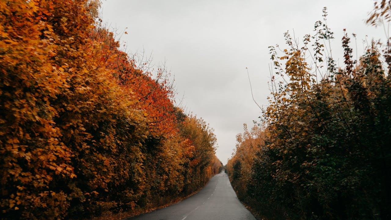 我唯一担心的是，我配不上自己所受的苦难