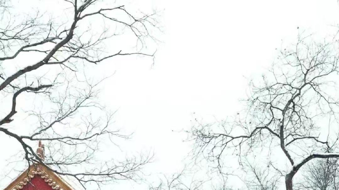 旅行社怎样才能拿到故宫授权，销售故宫门票？