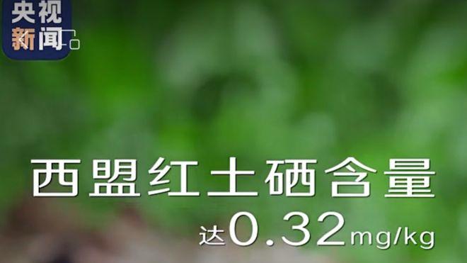 老板问“拍片有啥用？”把这个案例转过去