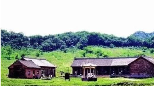 黛眉之柳（诗歌）