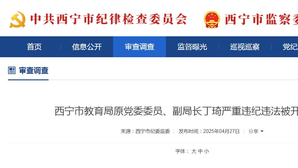 基层观察：丁琦被开除党籍，他这个基层干部的人生末路