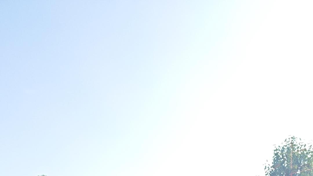 白大褂下的爱情