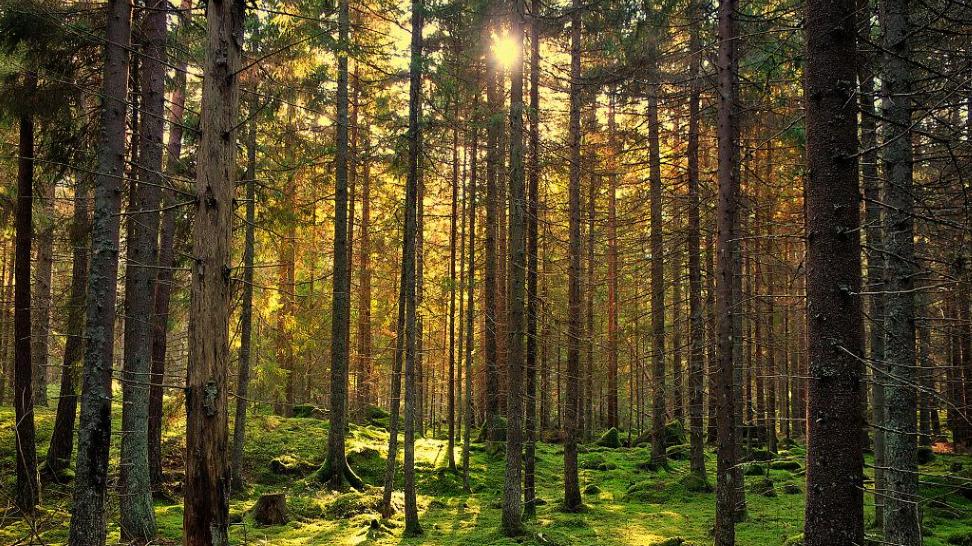 男性的视角告诉你：男人没有坚定选择你的真相只有一个