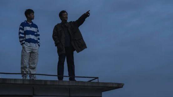 品质中国节目向光花盛开微光点亮悬崖的生命