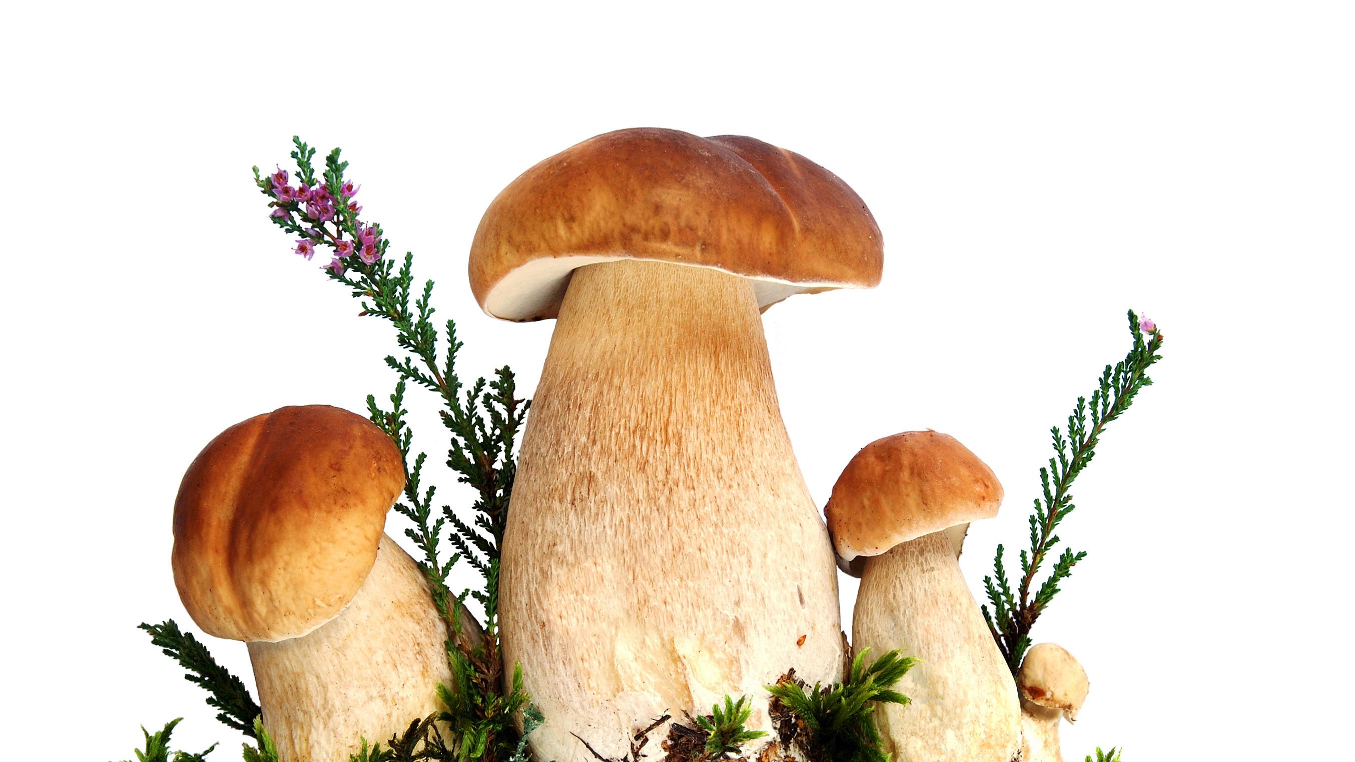 汽车卖到“过半”，冬天真的来了么