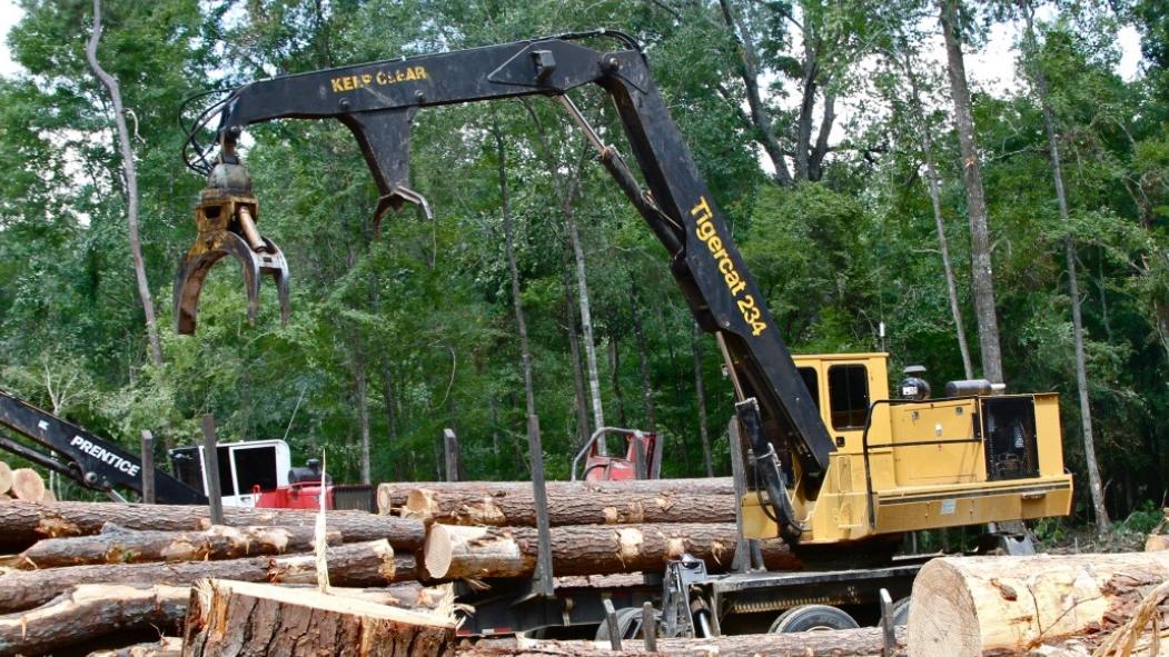 林业稳居第二大农业商品地位，2026年有望修复木材需求