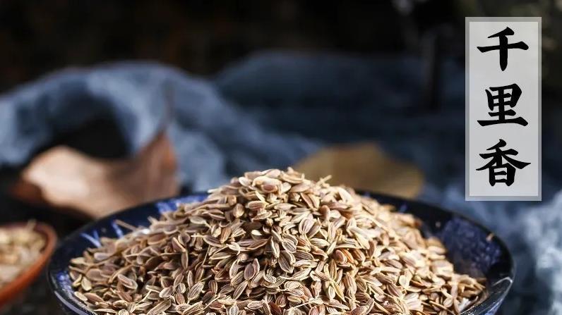 卤肉达人推荐：必备的4种香料清单