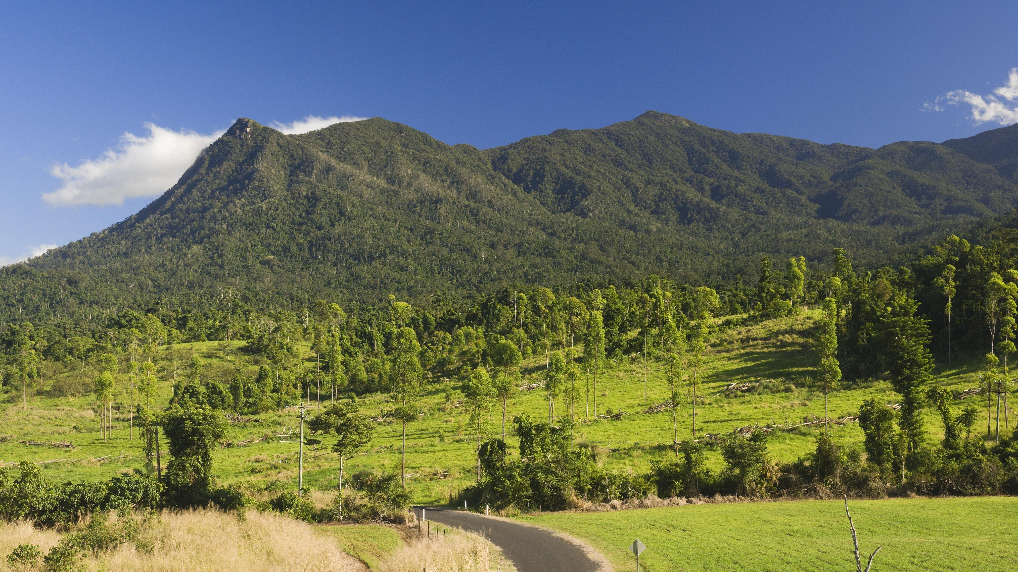 有人把DeepSeek装进毛绒玩具，赚到了AI的“第一桶情绪