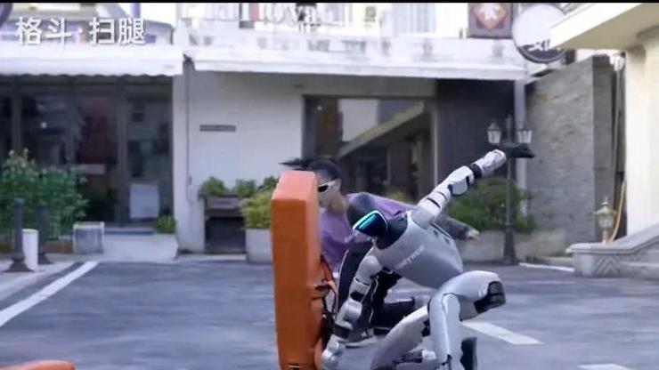 机器人做后空翻的背后——它能帮你照顾家中老人吗？