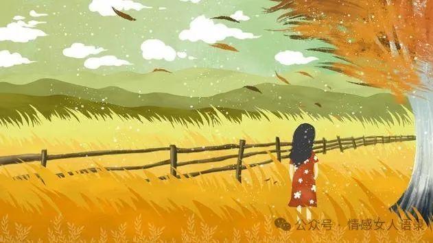 女人到了中年，看中的不再是爱情，而是这3样东西