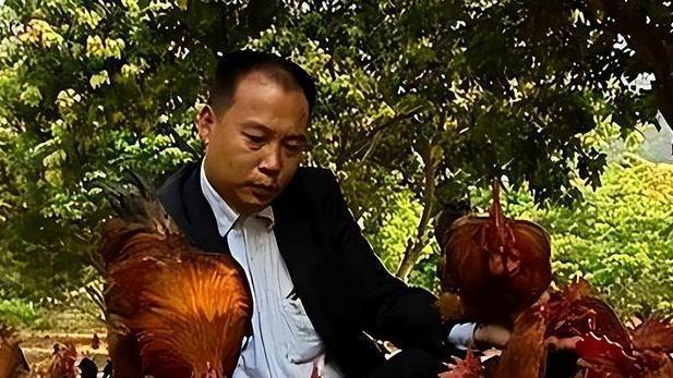 回顾：湖南男子包5千亩地养10只鸡，被村民嘲笑，4年后男子靠鸡年入千万