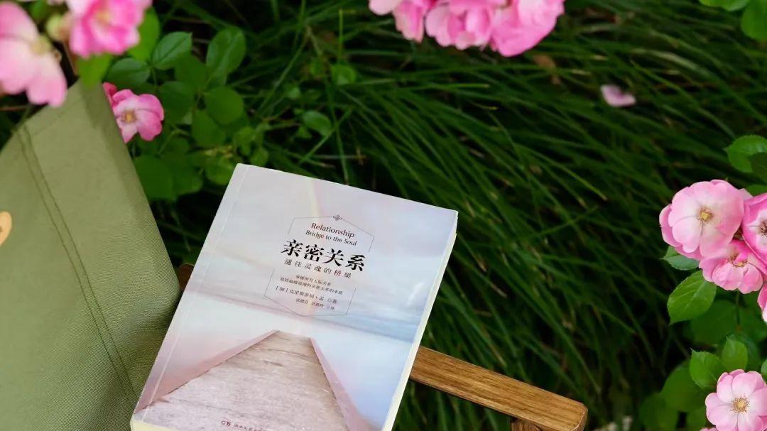 《亲密关系》：能长期维持下去的关系，不在于强烈的爱或大量的付出，而在于很少攻击少强求、多欣赏多感激