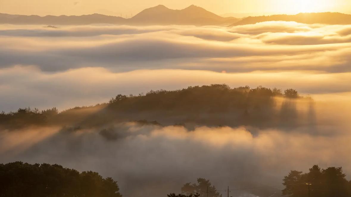异性在你面前有这6种反应，十有八九是喜欢你，别不懂
