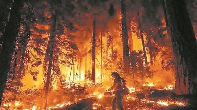 黄智贤：加州大火95%是人祸！大陆要警觉，这些领域绝不能私人化