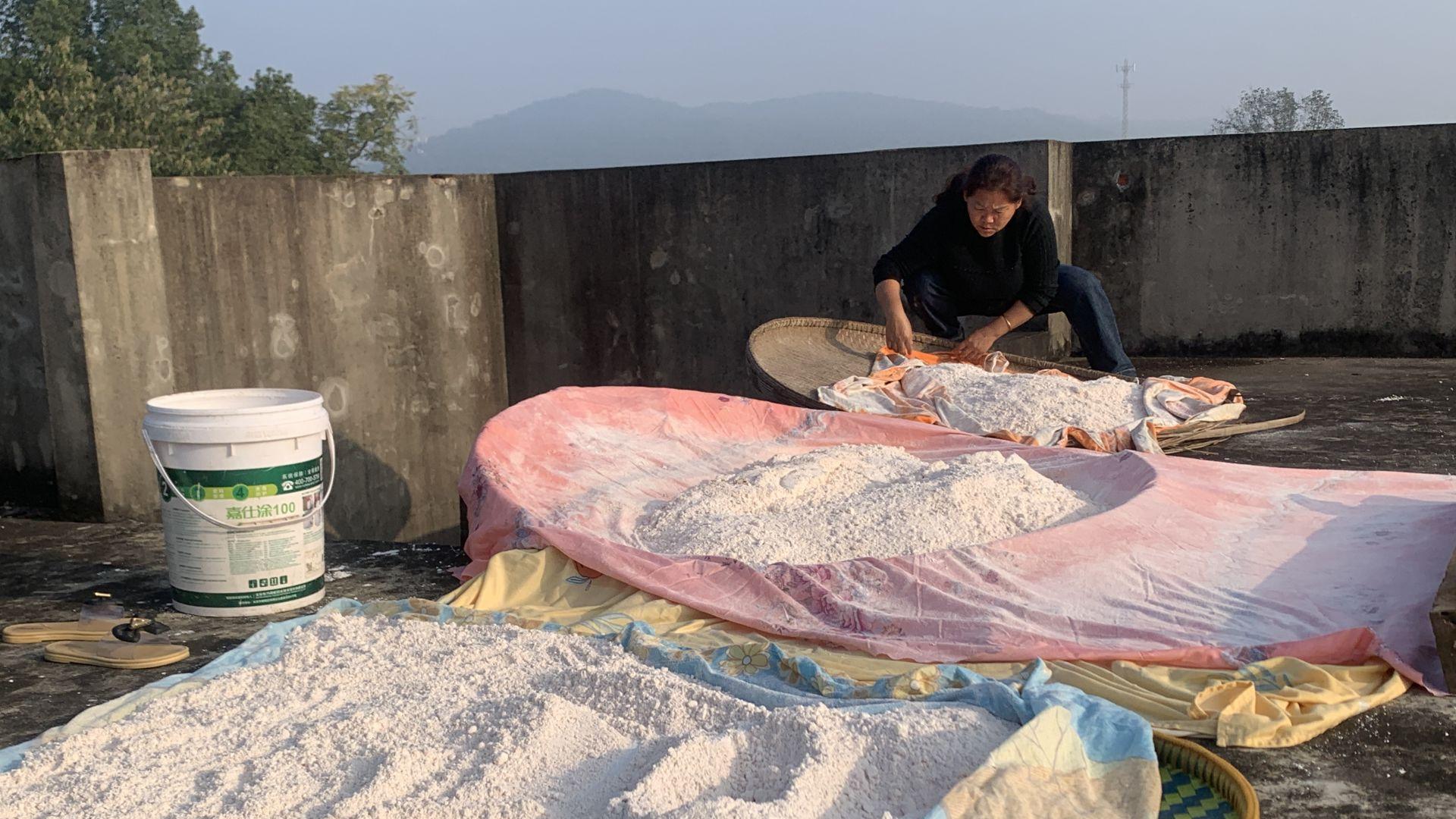 阳新县黄颡口镇：初冬时节苕粉飘香