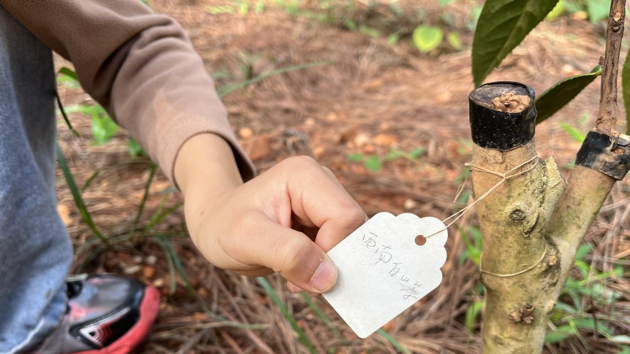 多做5件赋能小事，孩子能量高，脑子转得快，还很“省妈”