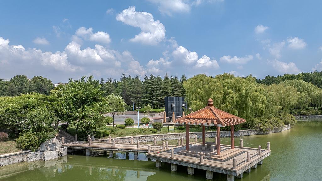 蝴蝶大乐透25109期分析，上期冷码开出4个号码，本期的重点应该是温码