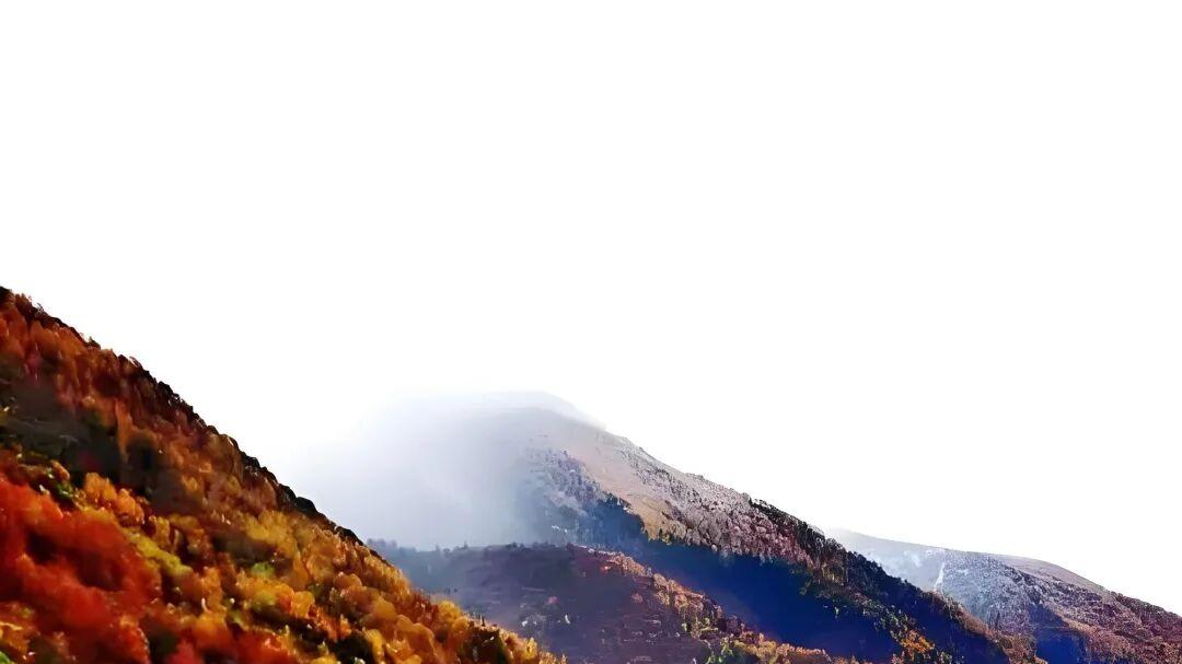 七律·豪情歌正气