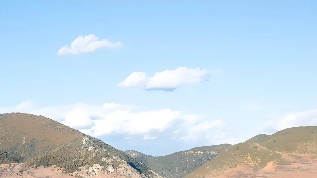 七律·放怀天地间