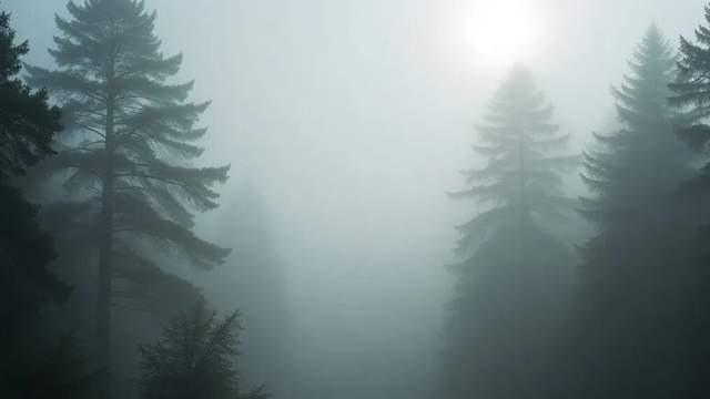 鸣鸣很忙的港股招股书或存合规风险