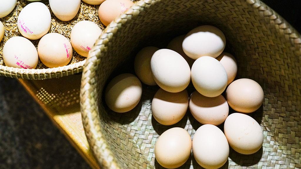 鸡蛋和鸭蛋有什么区别？可以每天吃几个？