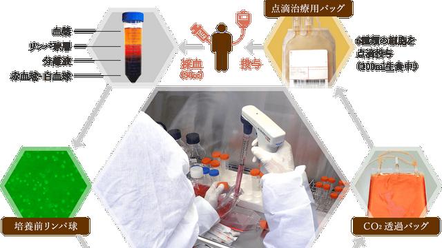 抗癌新突破！日本6种复合细胞免疫疗法，激活全身免疫细胞协同攻击肿瘤