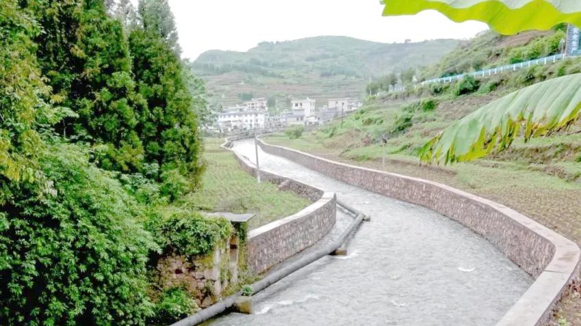 《碧渊赋》解读（5）：平衡与有用，方为佳构