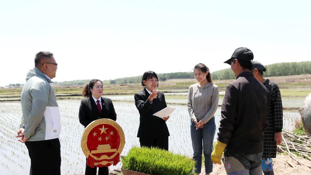 2025社会治理创新案例展播丨多方联动形成解纷合力释法明理推动案结事了