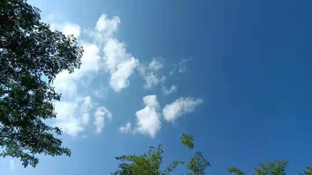 38年教龄快要退休的河南高级教师这样的月薪跟其它省份相比有差距