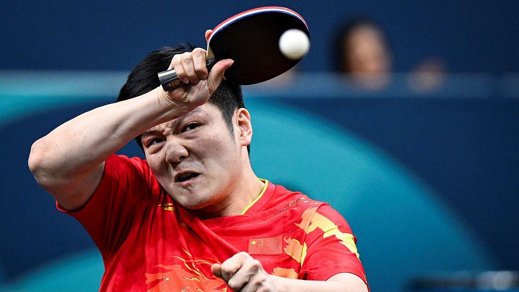 樊振东团队夺冠背后的团结与协作故事