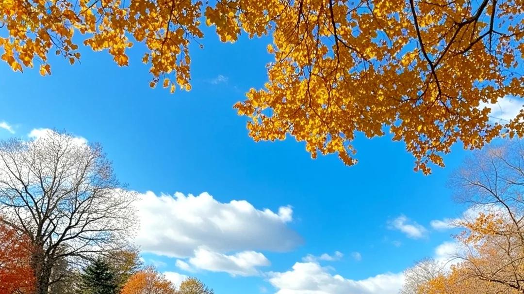 30岁后才敢说，能陪你走到最后的，是这四句“人生保命法则”