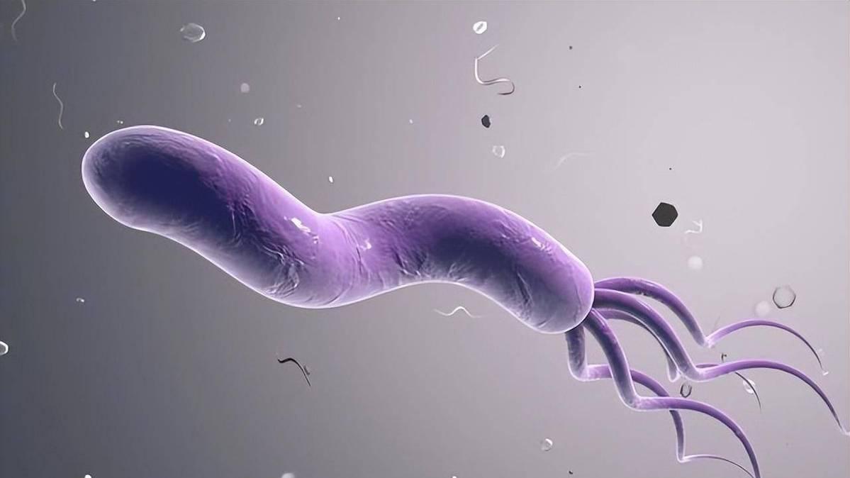 63.4%胃癌由幽门螺旋杆菌导致，一旦感染及时治疗，防止交叉感染