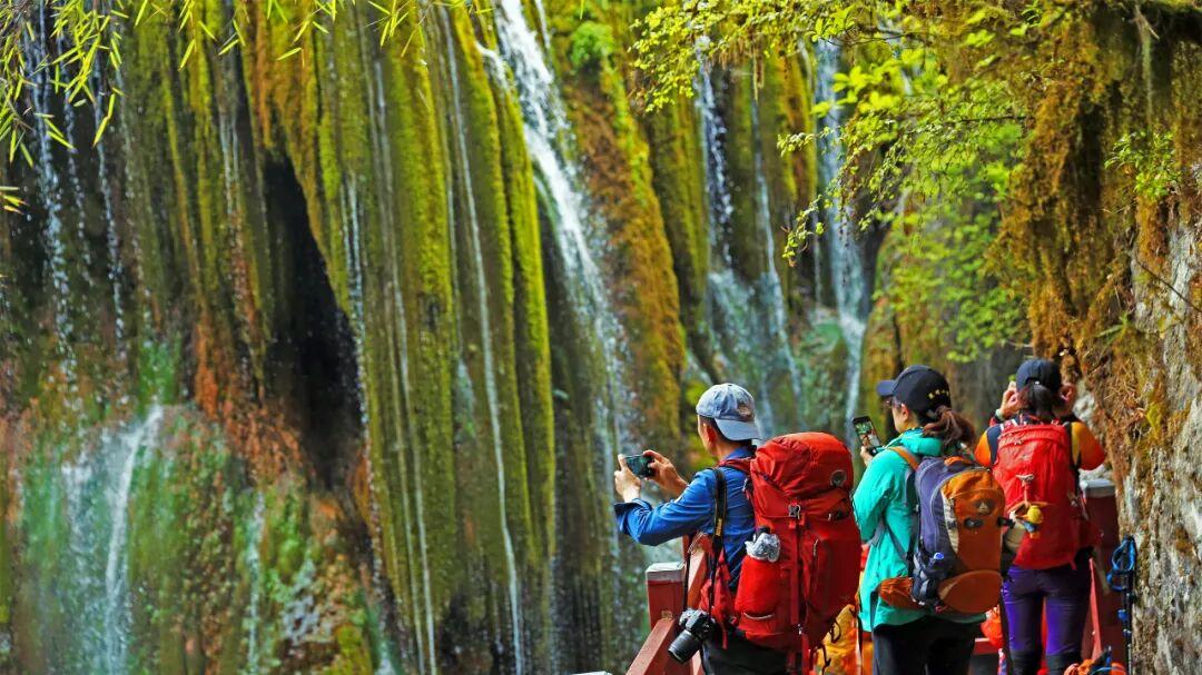 答好五问促增收丨雪域秘境 步履生金——迪庆州发展林下康旅经济新业态