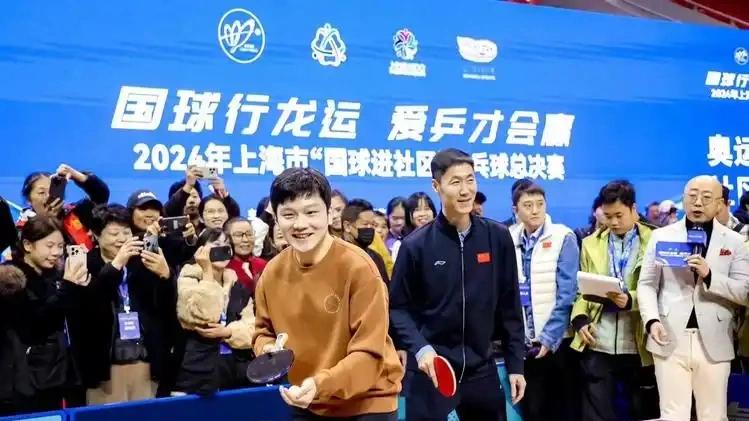 樊振东为何不回归？王励勤上任后面临三大难题