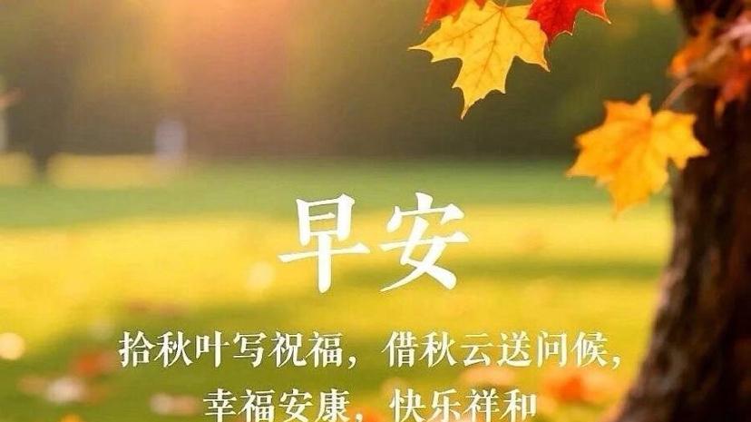 早安心语 生活最美的样子，就是微笑与阳光相伴